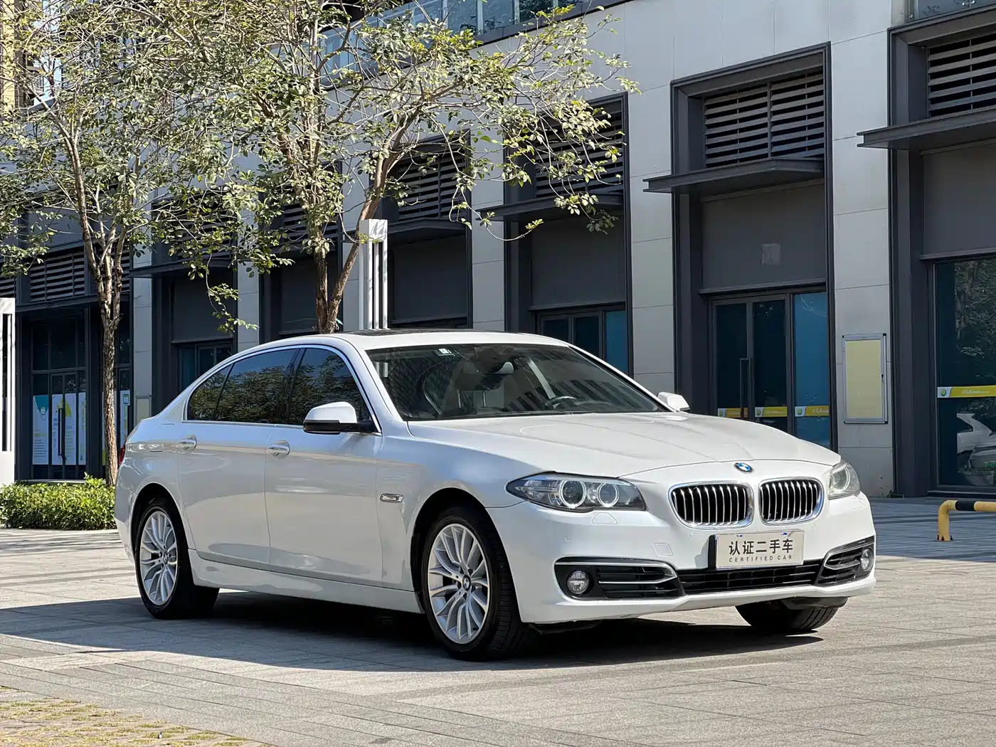 BMW 5 Series 2014 525Li Luxury Design Package фото 3