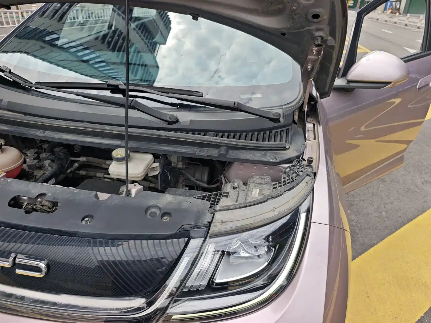 BYD Dolphin 2021 Model 405km Fashion Edition фото 23