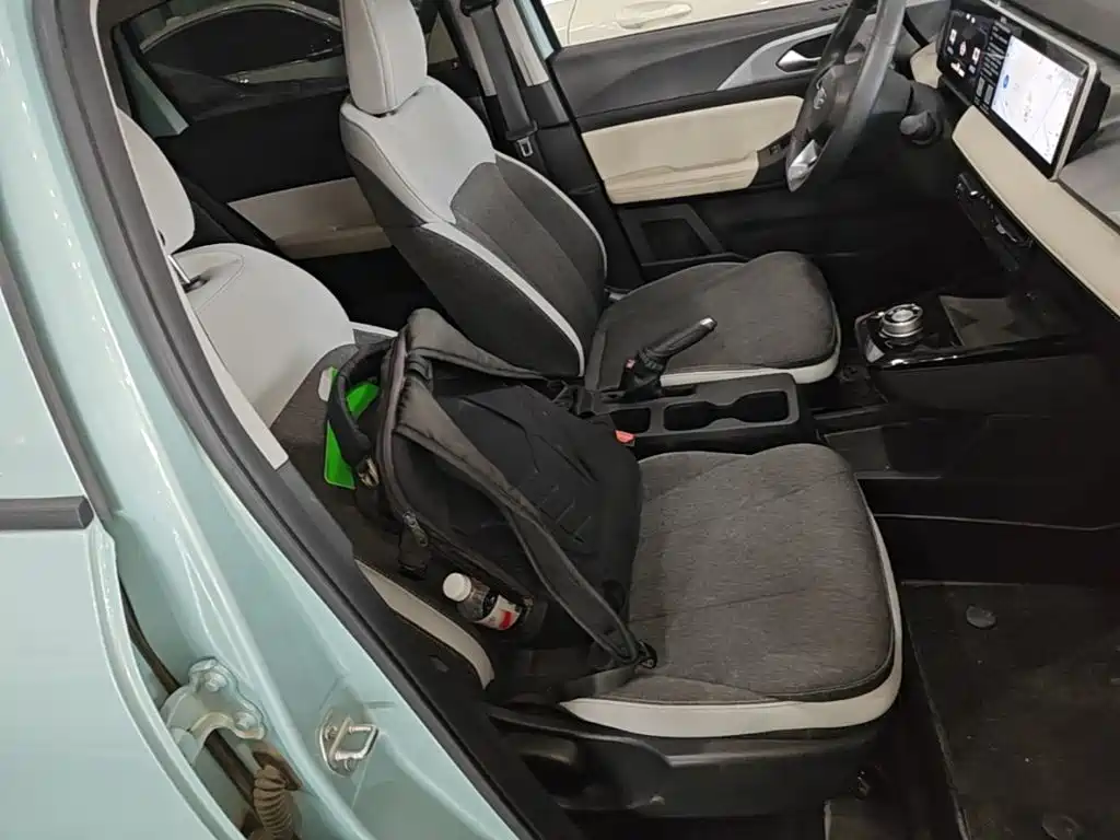Geely Geometry E Firefly 2024 2024 301km Soaring Dragon Edition