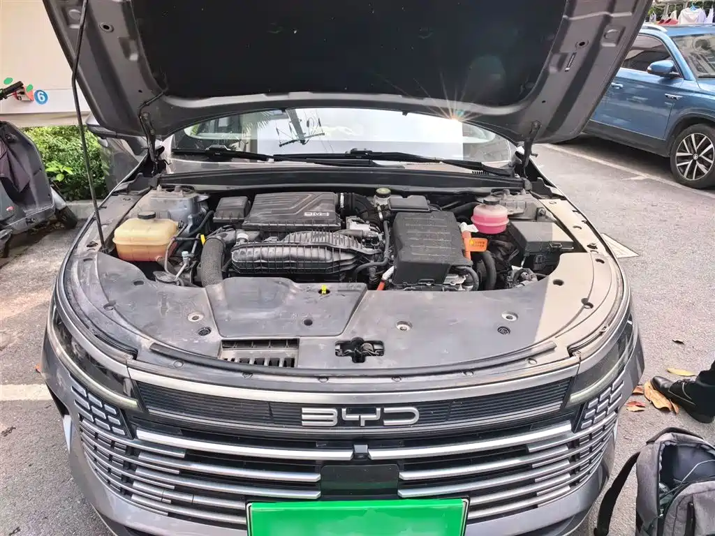 BYD Destroyer 05 2022 DM-i 55KM Premium фото 11