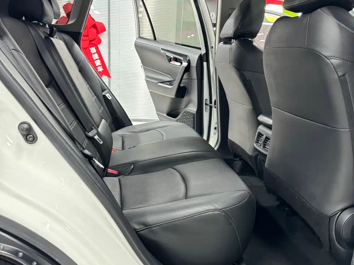 Toyota RAV4 Rongfang 2020 2.0L CVT 2WD Trend Edition фото 19