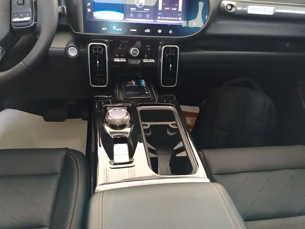 Haval Big Dog 2021 1.5T DCT 2WD Border Collie Edition фото 14