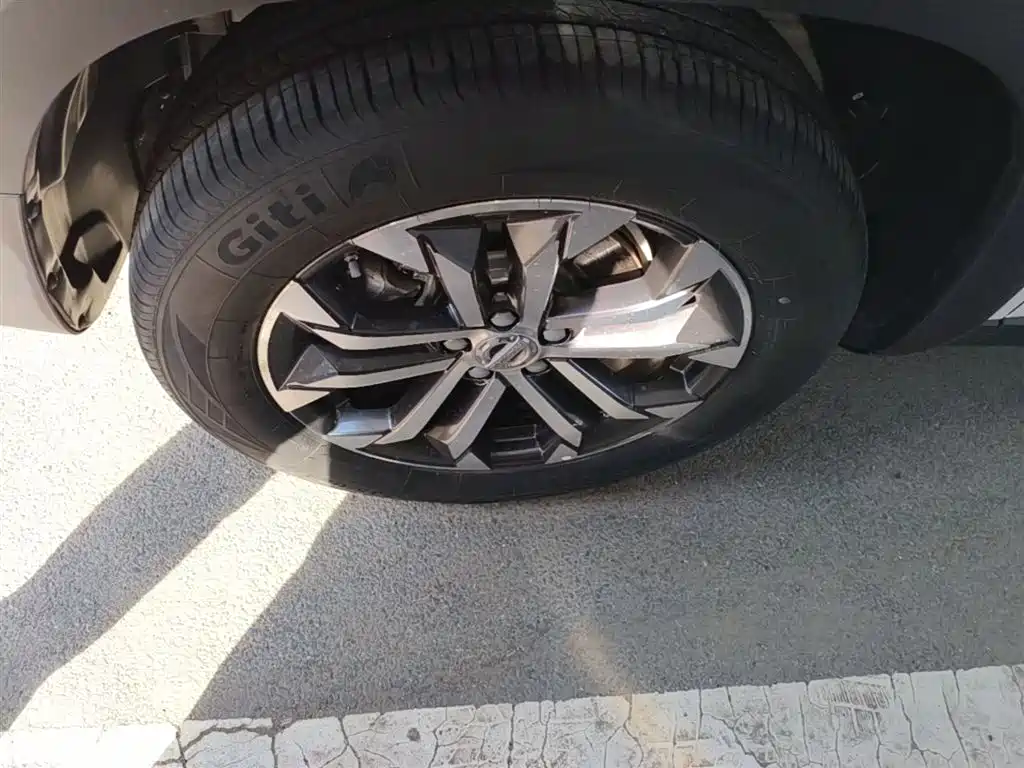 Haval Big Dog 2021 1.5T DCT 2WD Border Collie Edition фото 23