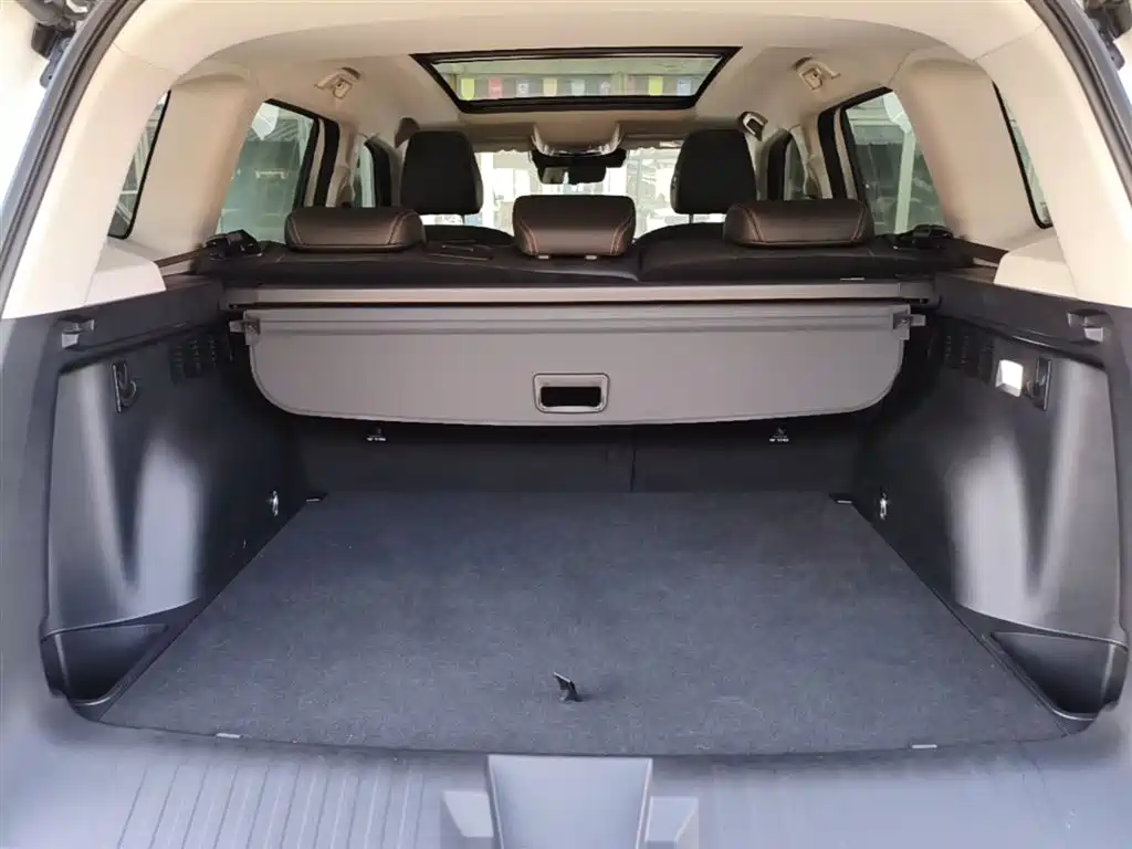 Haval Big Dog 2021 1.5T DCT 2WD Border Collie Edition фото 19