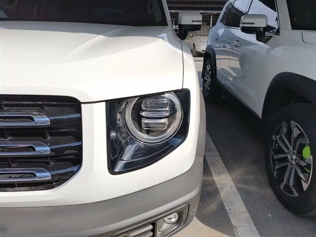Haval Big Dog 2021 1.5T DCT 2WD Border Collie Edition фото 24