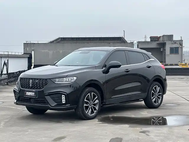WEY VV5 2020 1.5T 2WD Smart Pioneer