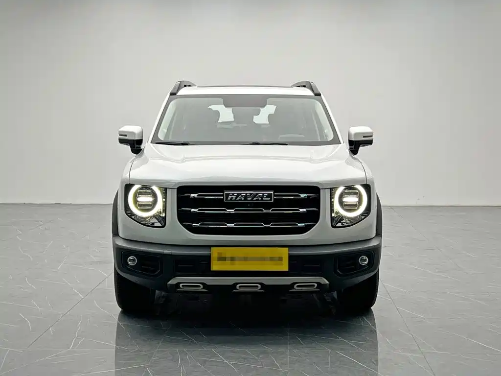 Фото 2 - Haval Dargo