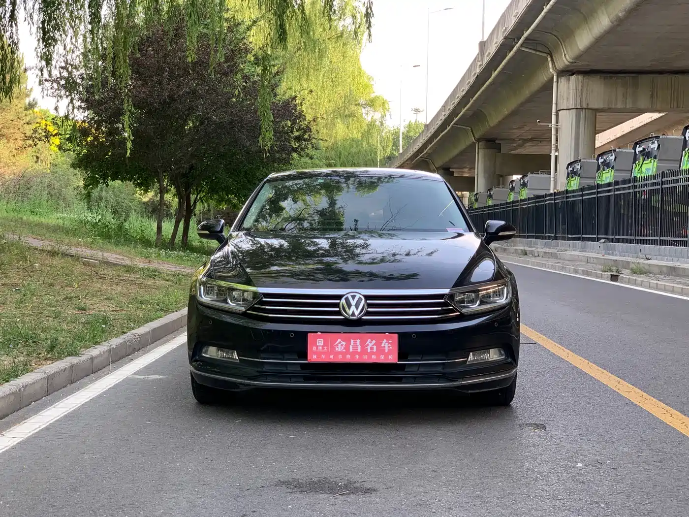 Volkswagen Magotan 2019 330TSI DSG Leading China V фото 2