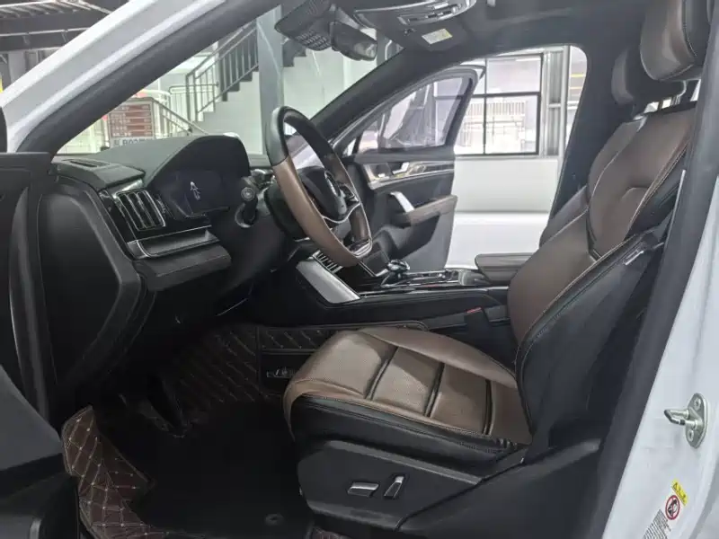 BYD Tang New Energy 2021 DM 2.0T AWD High Performance Premium фото 4