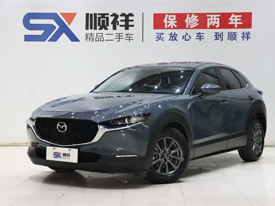  CX 30