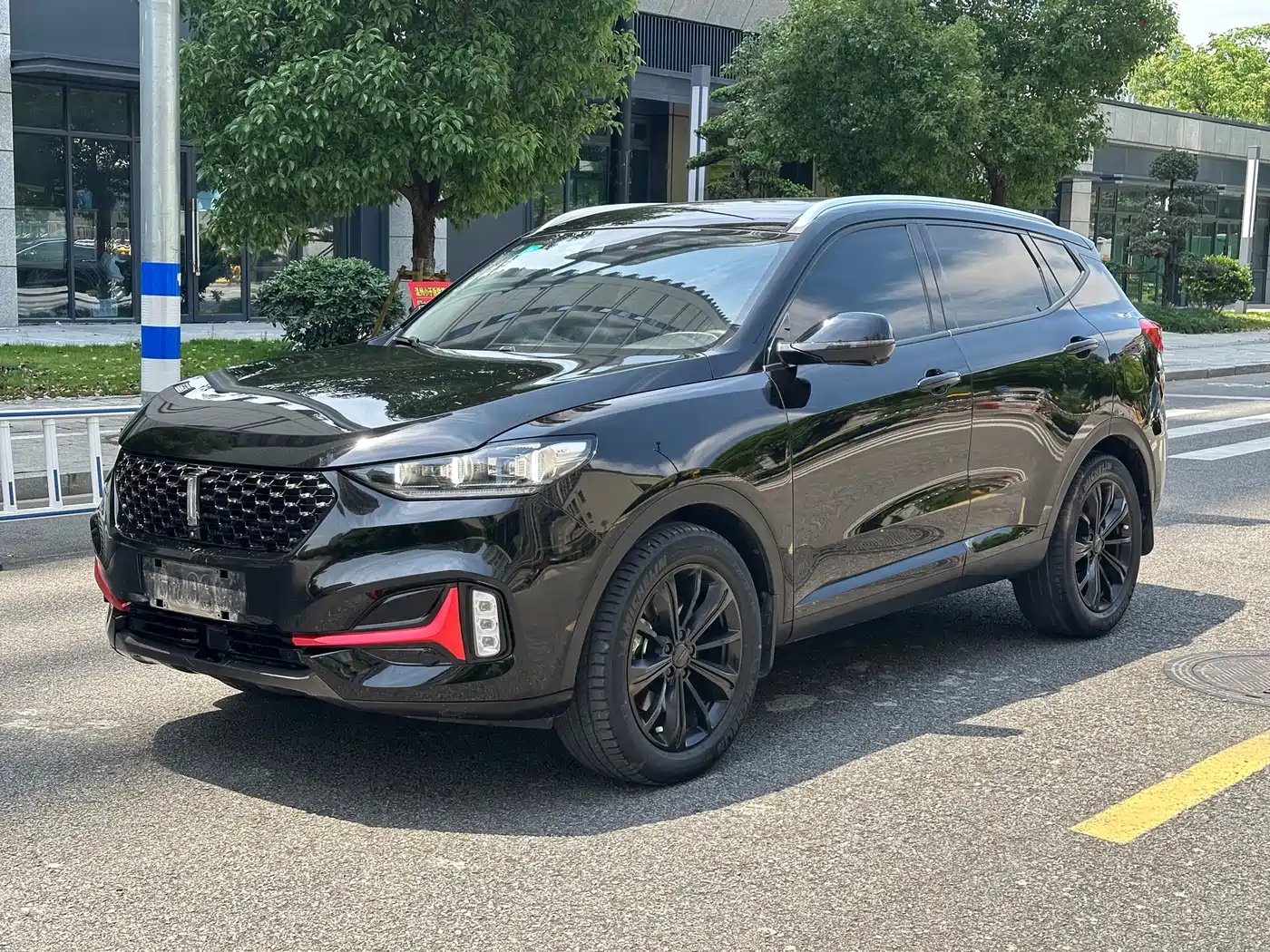 2021 WEY VV6