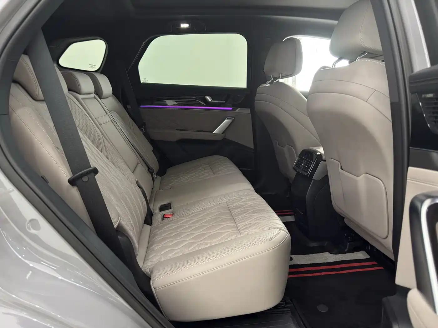 BYD Tang New Energy 2025 DM-i 115KM Flagship фото 10