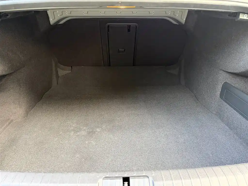 Volkswagen Magotan 2018 330TSI DSG Leading фото 25