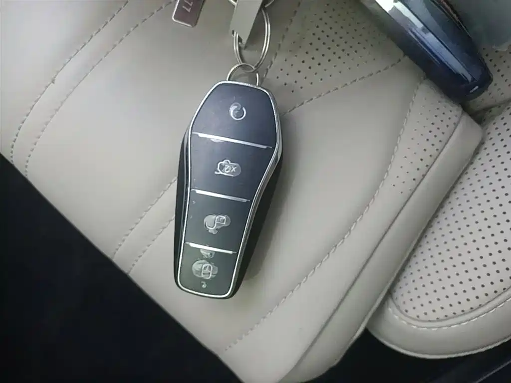 BYD Tang New Energy 2025 DM-i 115KM Cloud Chariot Flagship фото 9