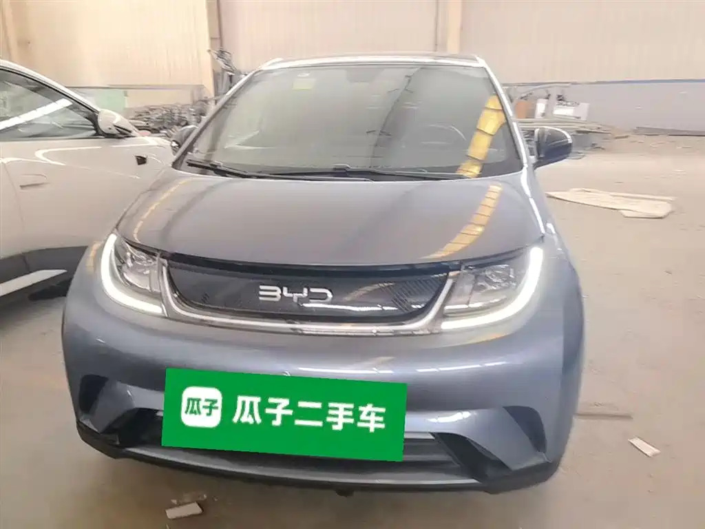 BYD Dolphin 2024 Glory Edition 420km Fashion Edition фото 3
