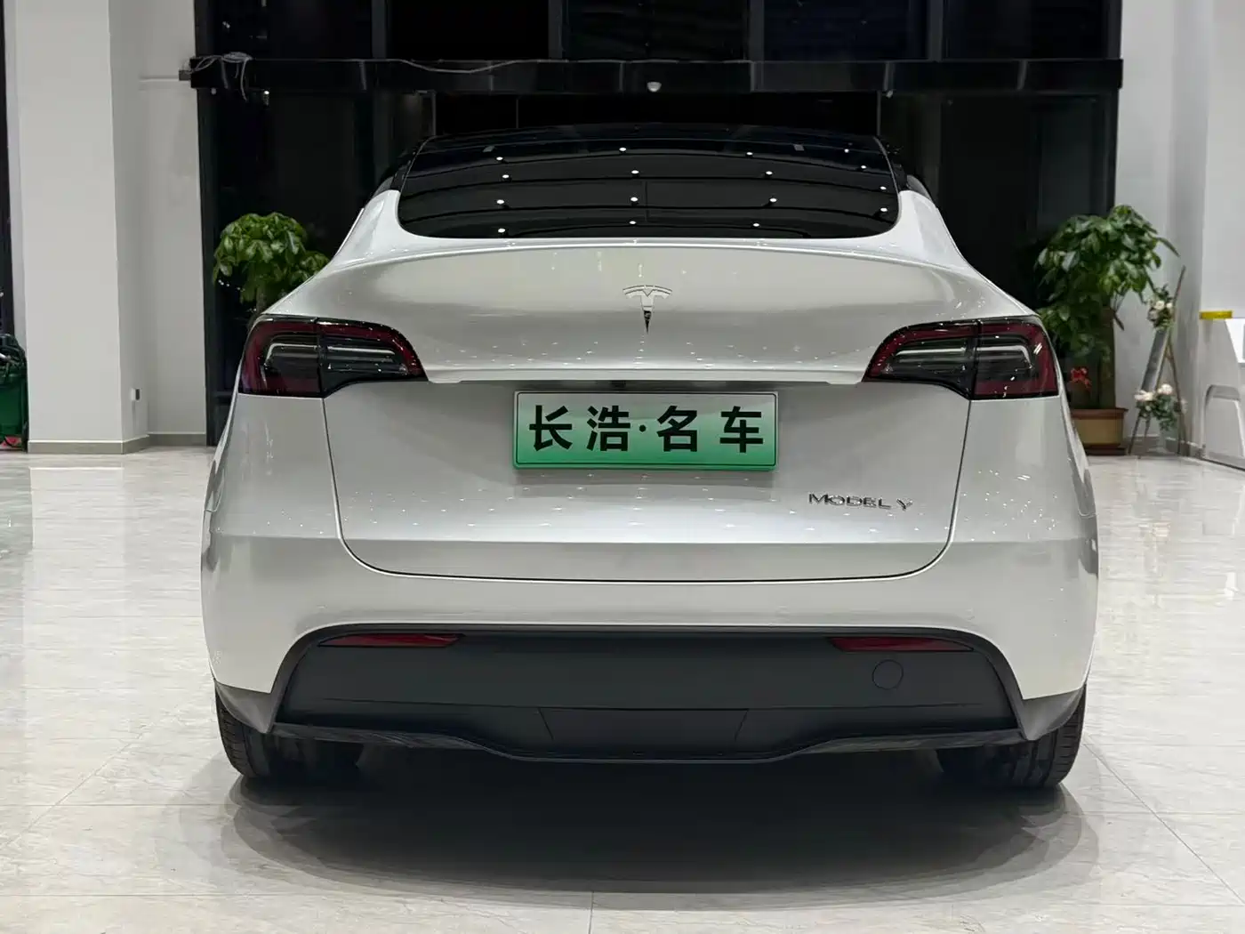 TESLA MODEL Y