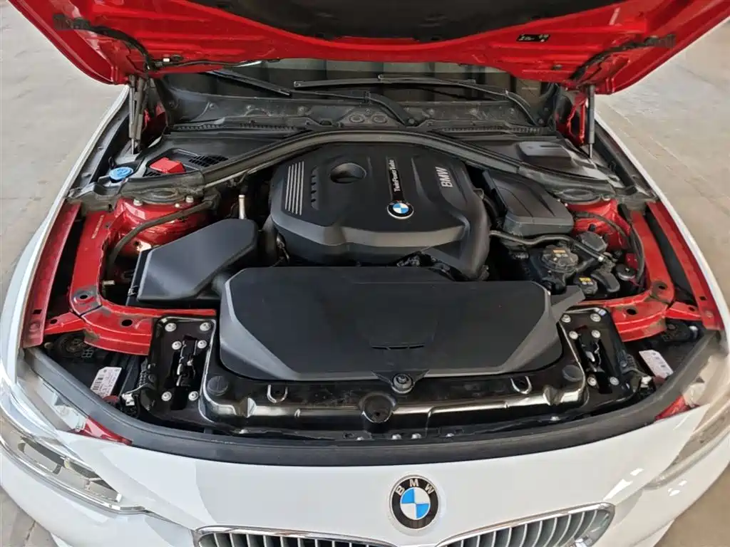 BMW 3 Series 2018 320Li Fashion Style фото 20