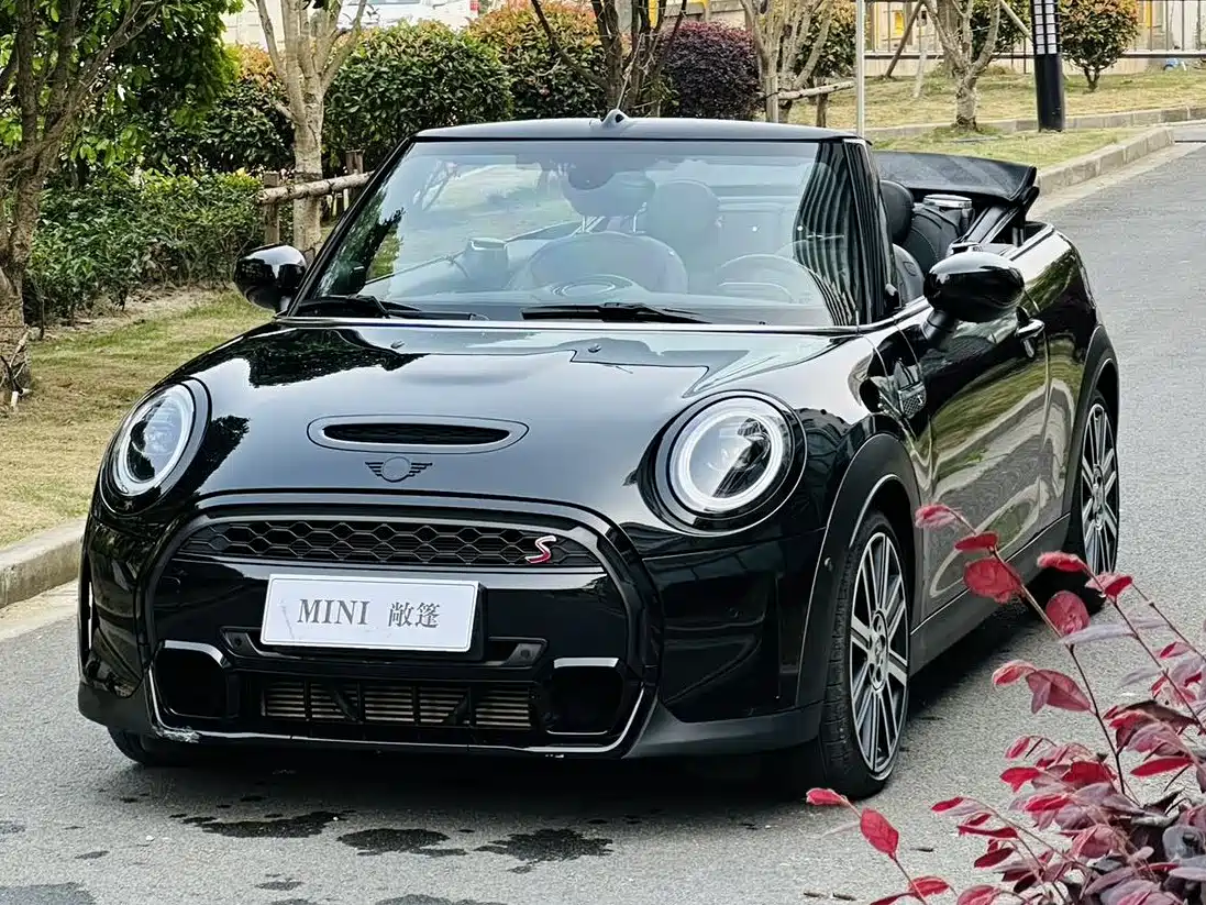 MINI MINI 2023 Facelift 2.0T COOPER S CABRIO Artist