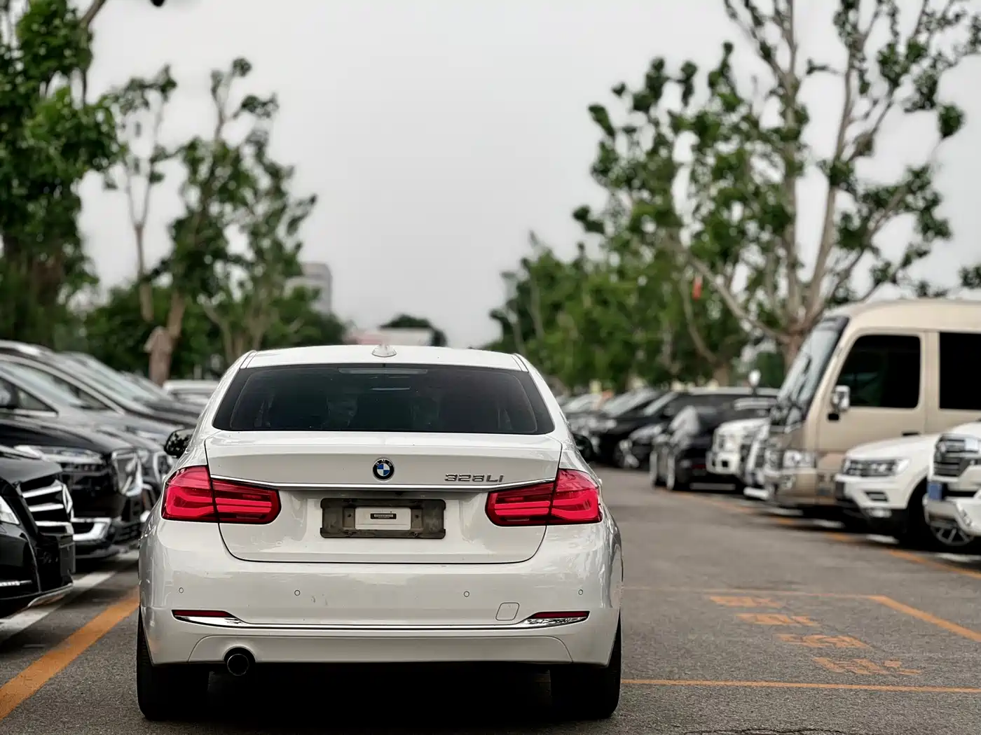 BMW 3 Series 2016 320Li Luxury Design Package фото 7