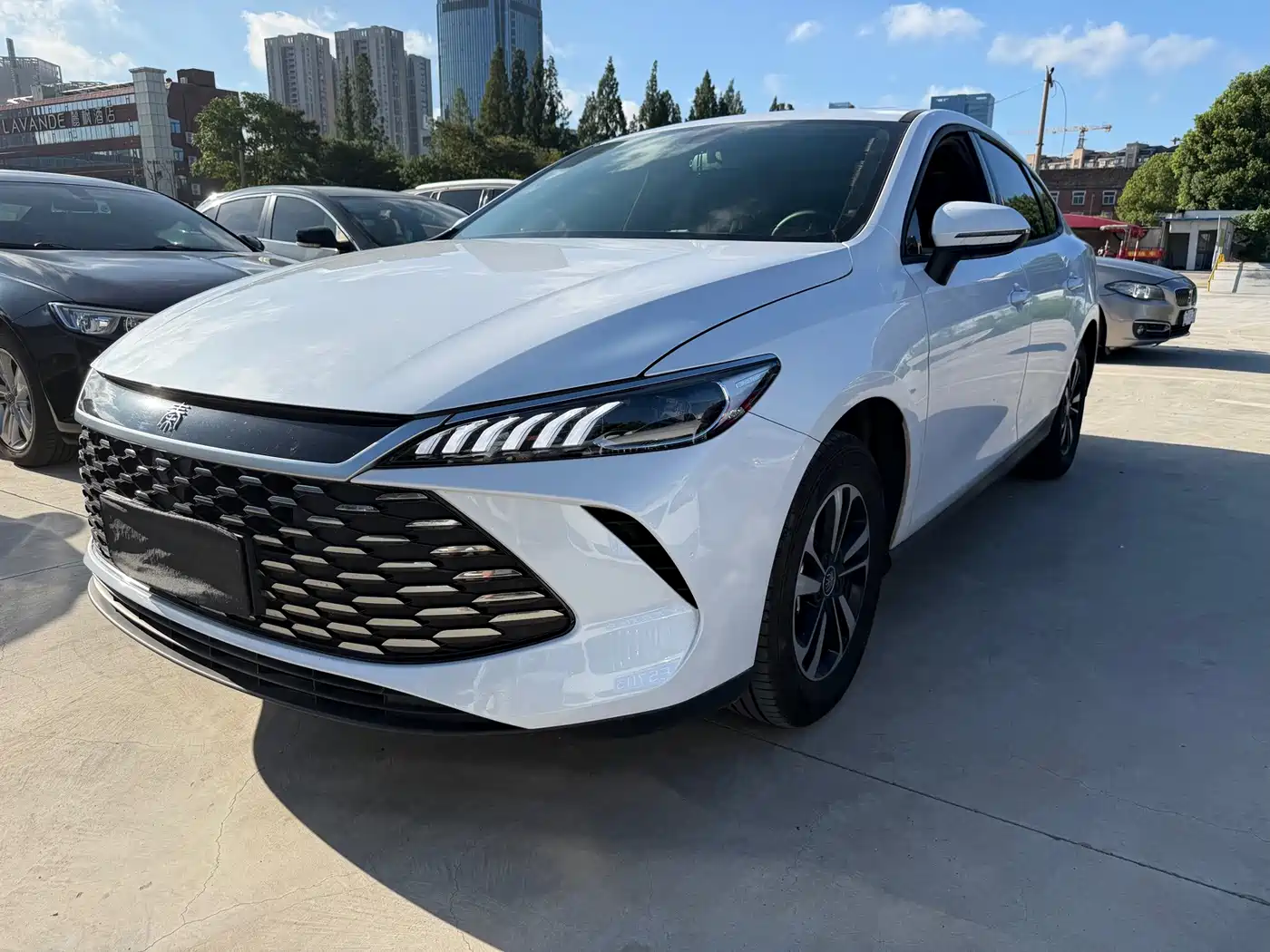 BYD Qin PLUS 2026