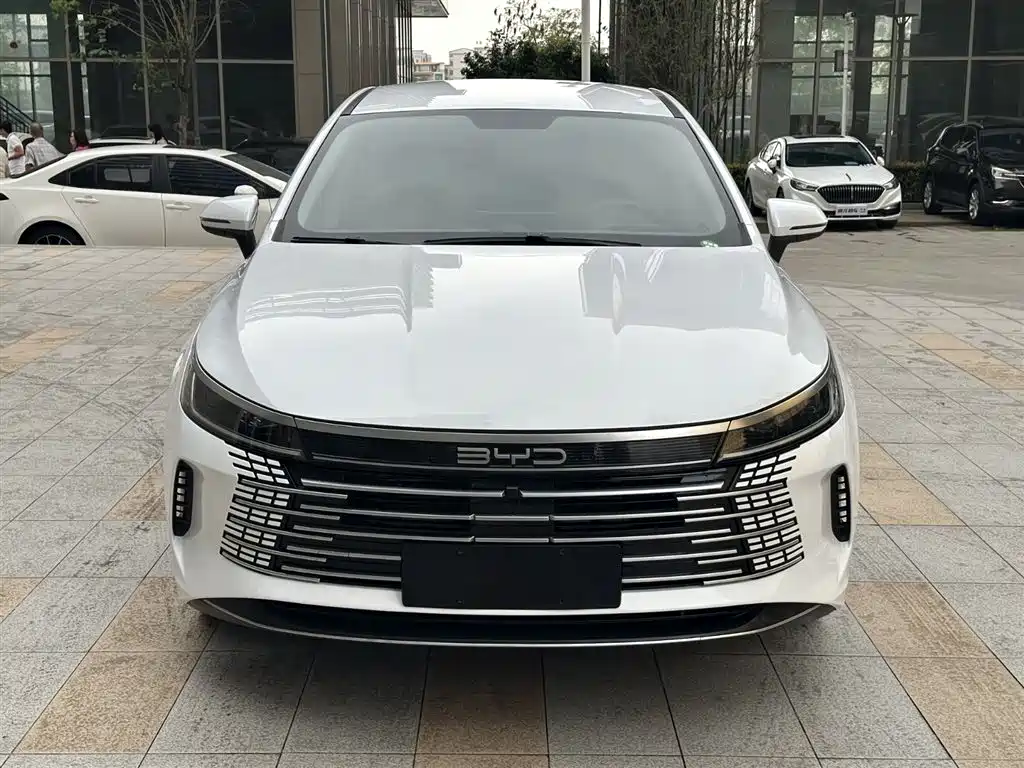 BYD Destroyer 05 2024 Glory Edition DM-i 120KM Luxury фото 3