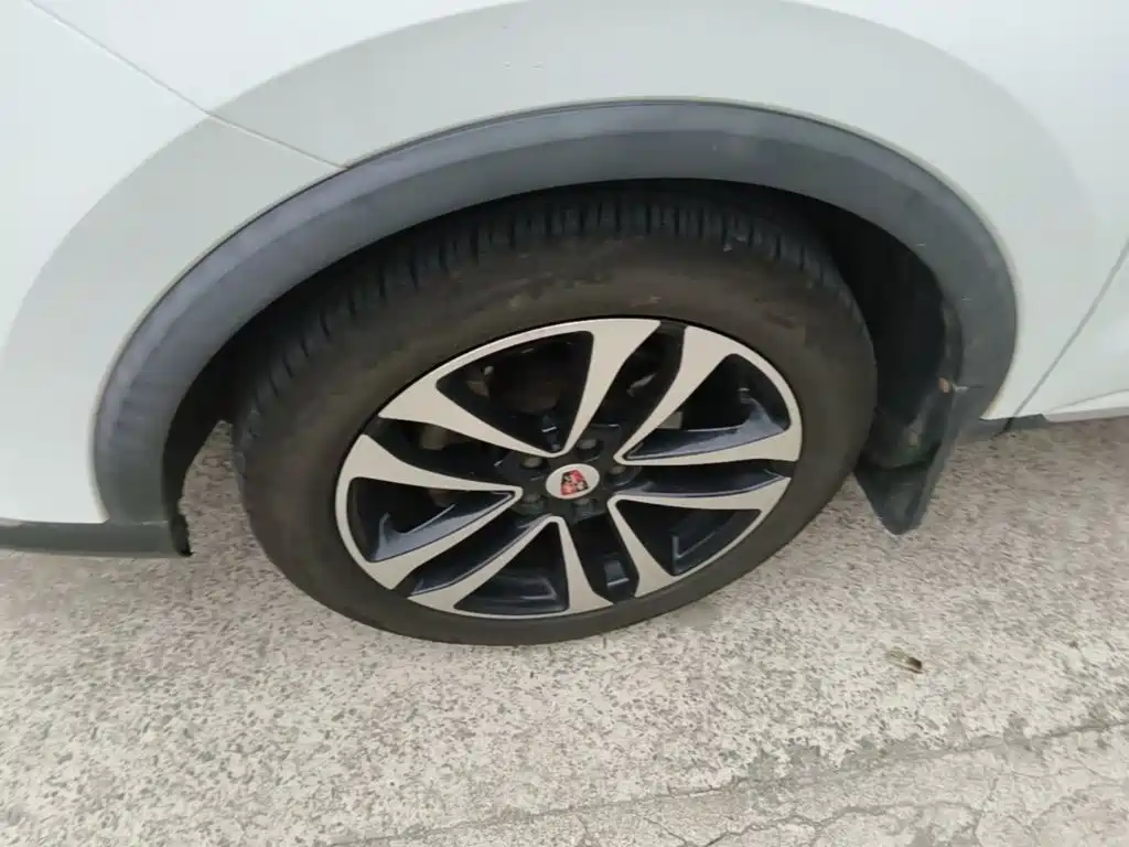 Фото 23 - Roewe RX3