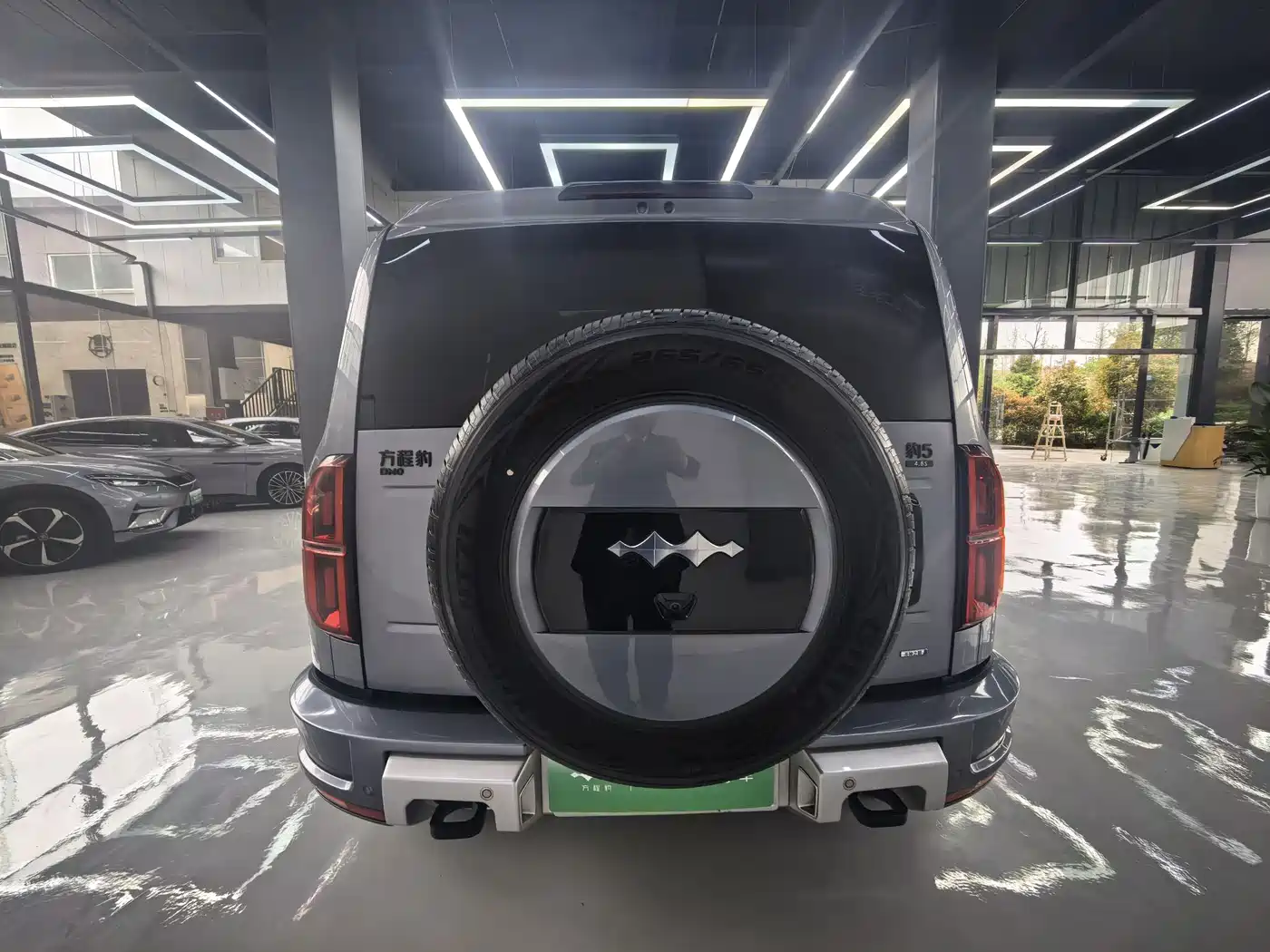 FANG CHENG BAO LEOPARD 5