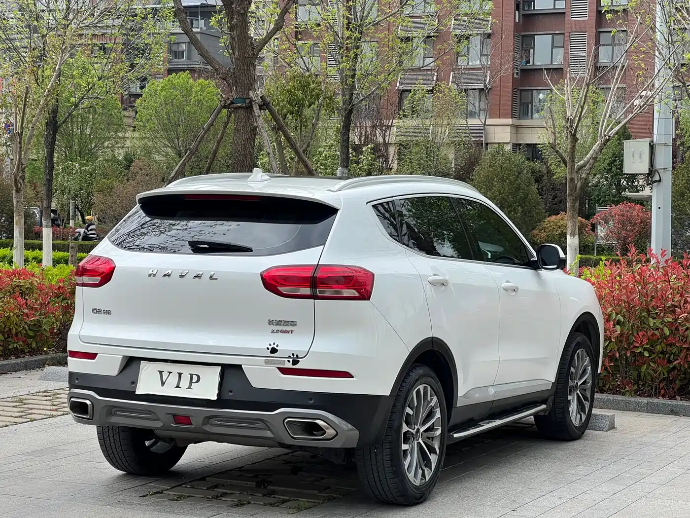 Haval H6 2020 2.0GDIT Automatic Platinum Champion Edition фото 4