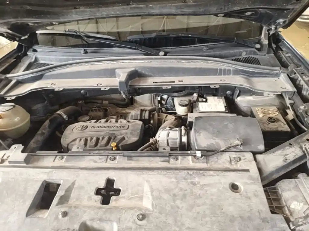 Фото 20 - Zhonghua V6