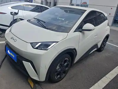 BYD Seagull