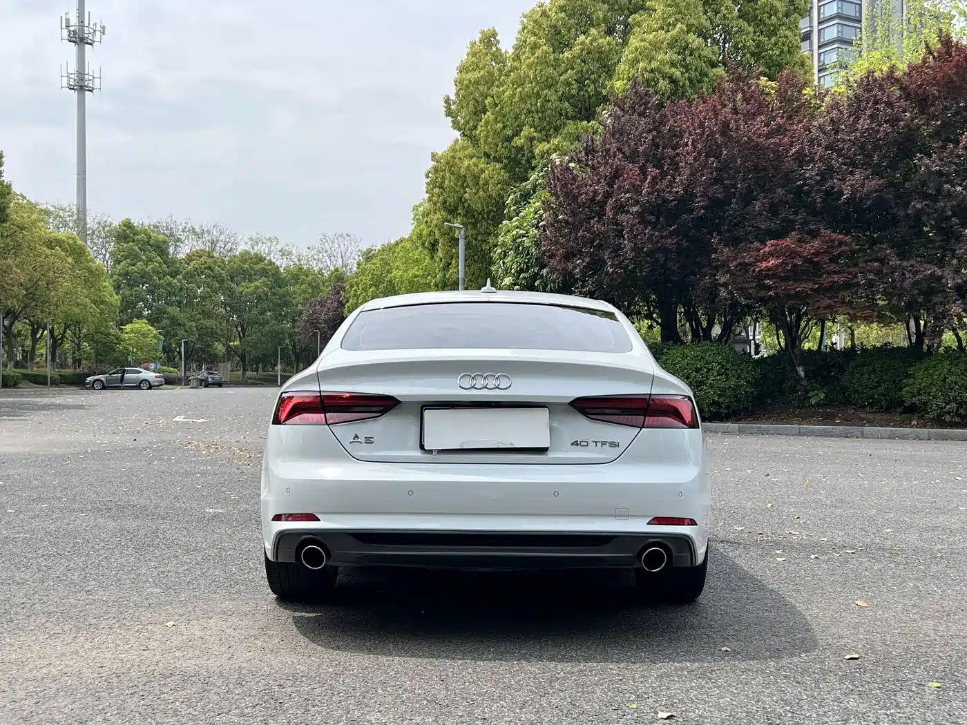 Audi A5 (Import) 2019 Sportback 40 TFSI Fashion фото 12