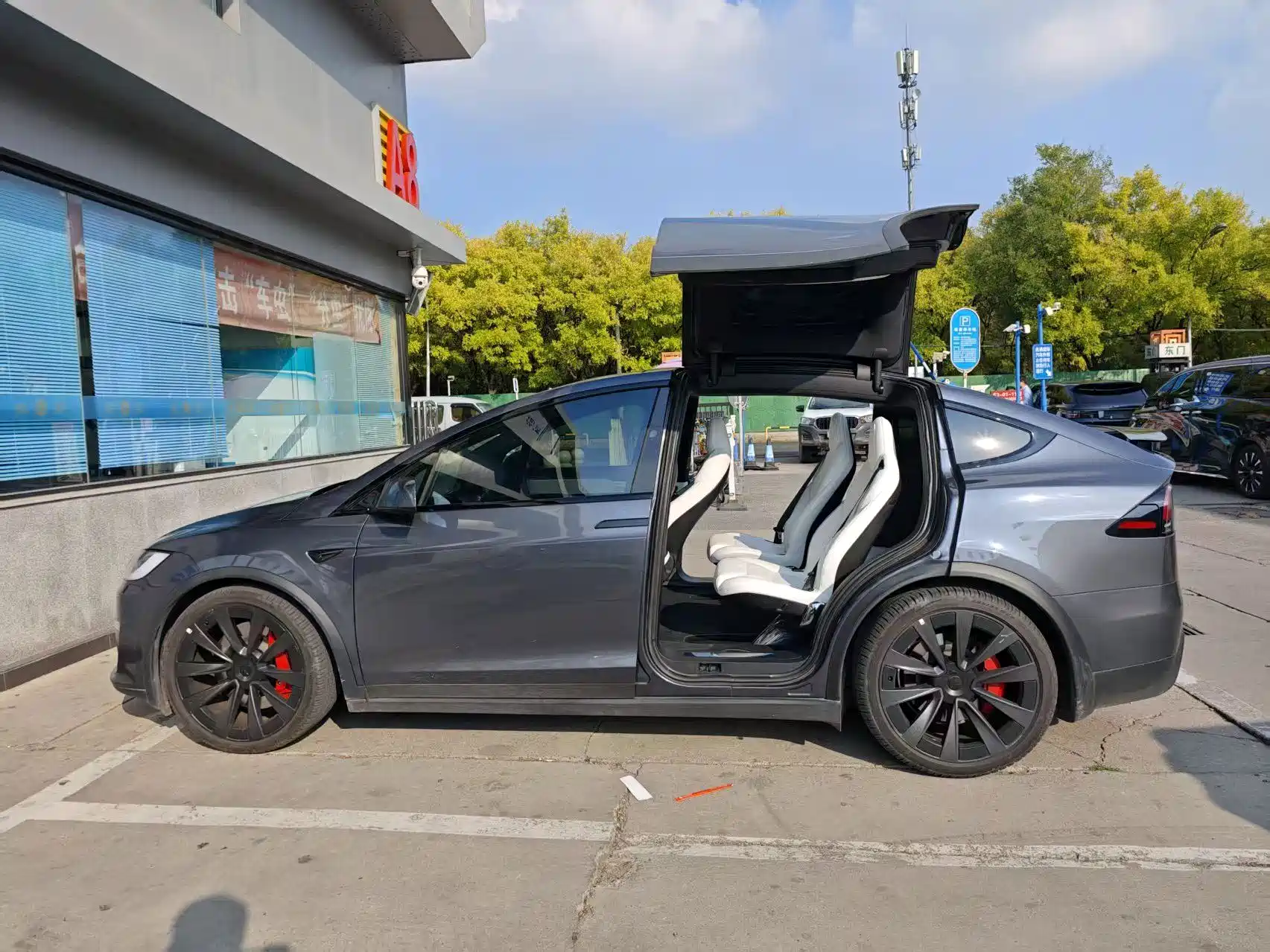 Фото 14 - Tesla Model X