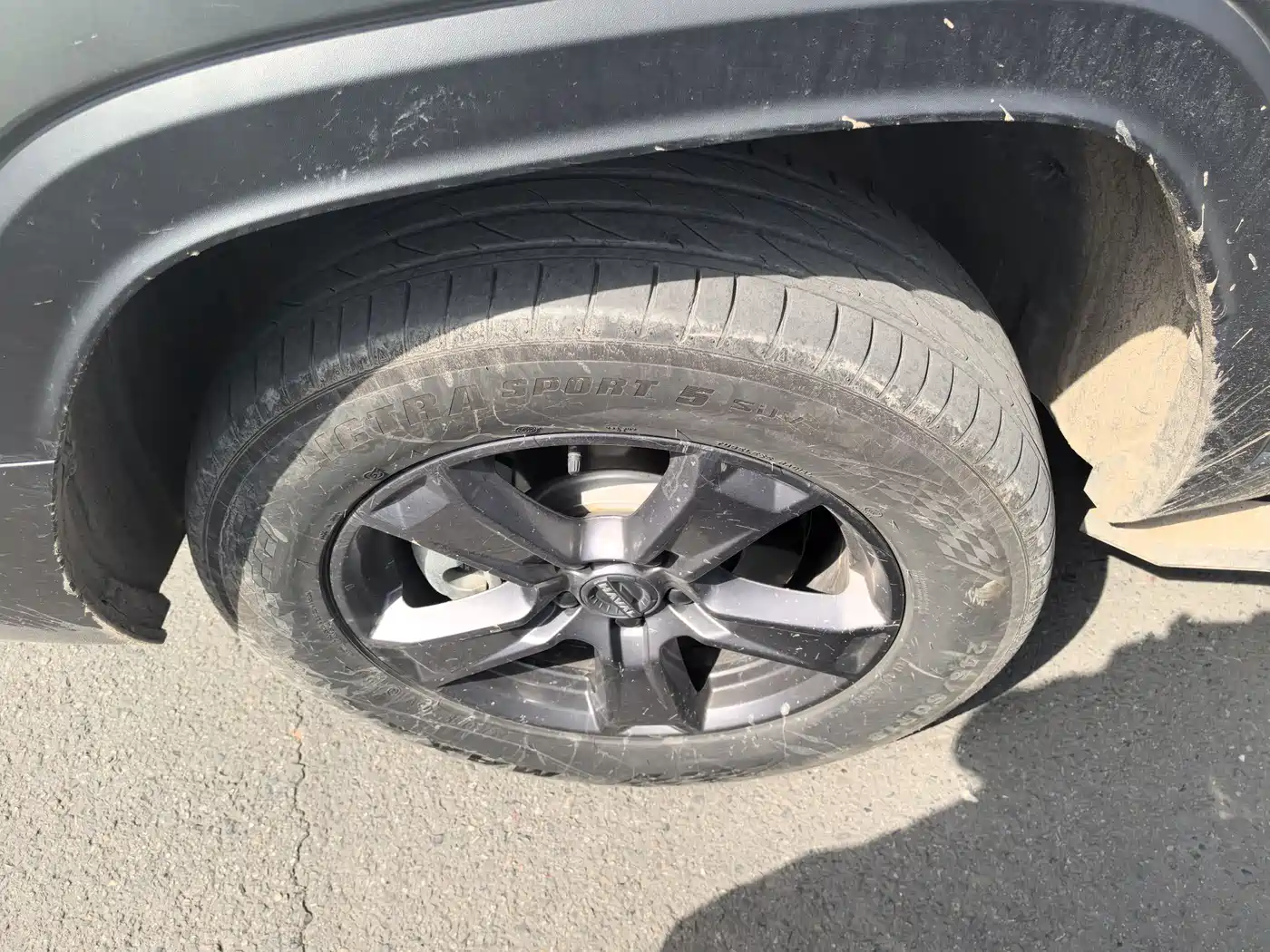 HAVAL RAPTORS NEW ENERGY