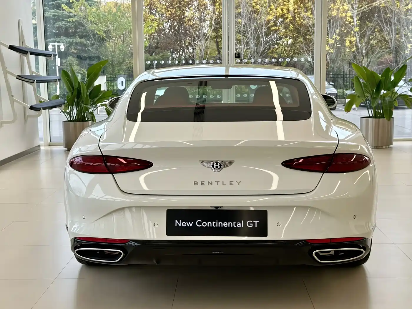 Bentley Continental фото 6