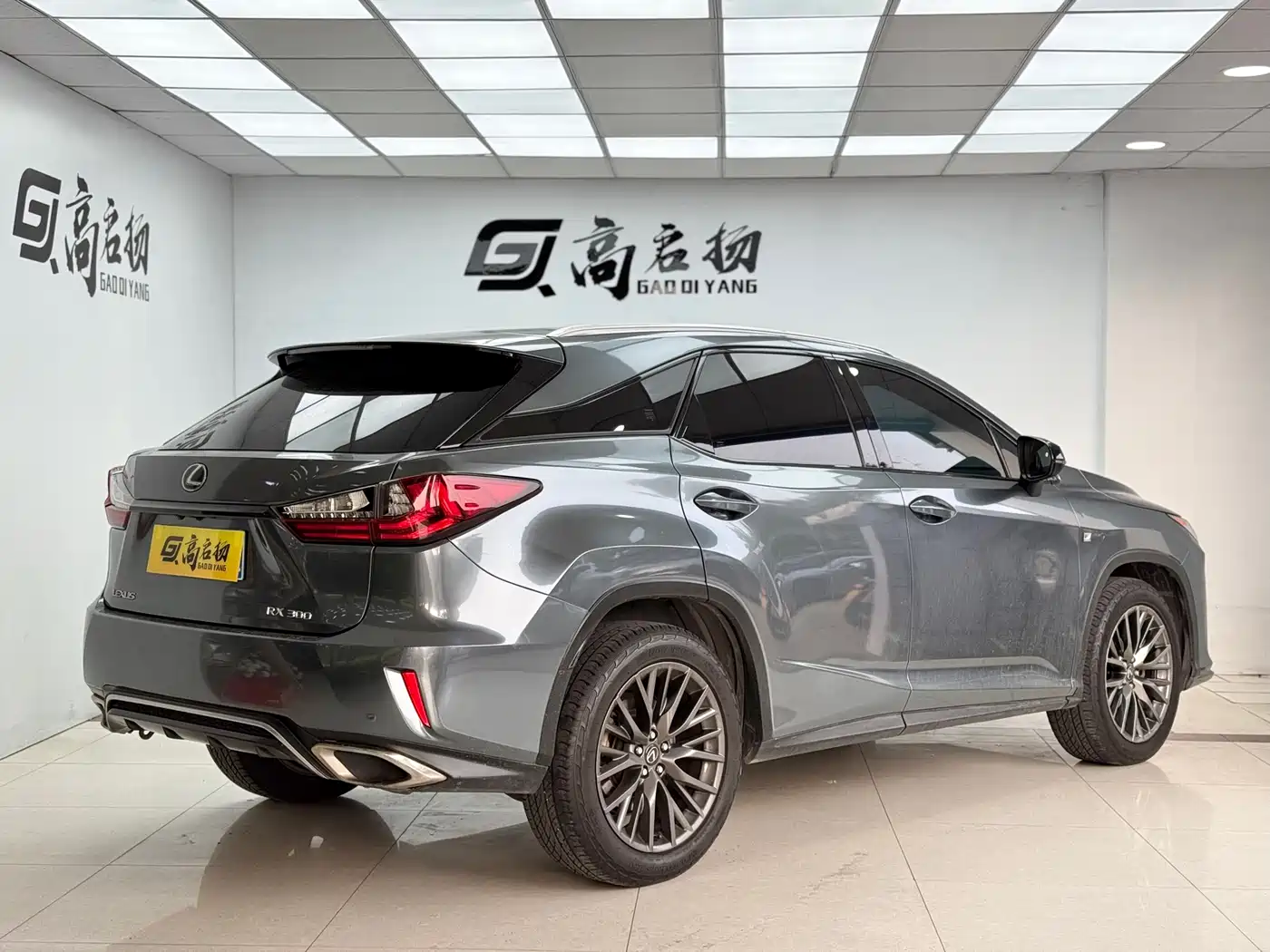 Lexus RX 2016 300 AWD F SPORT Edition China V фото 25