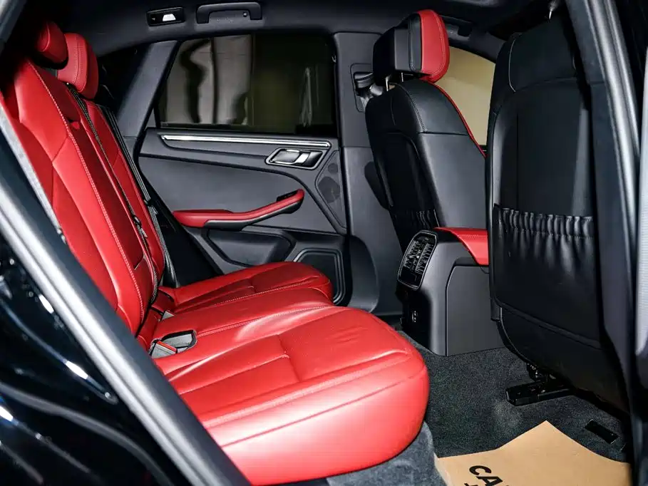 Porsche Macan 2025 2024 Macan 2.0T