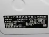 Фото 27 - Buick GL8