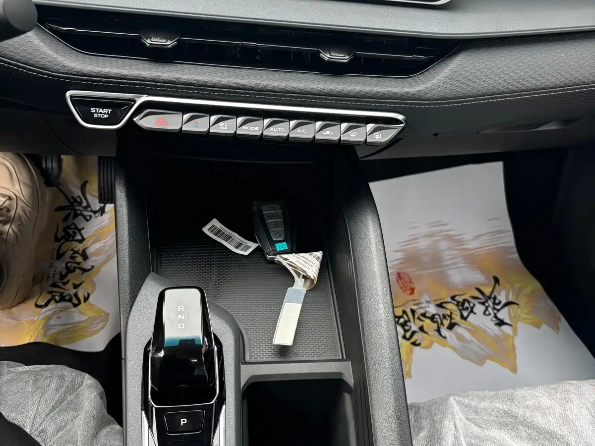 GEELY AUTOMOBILE BINRUI