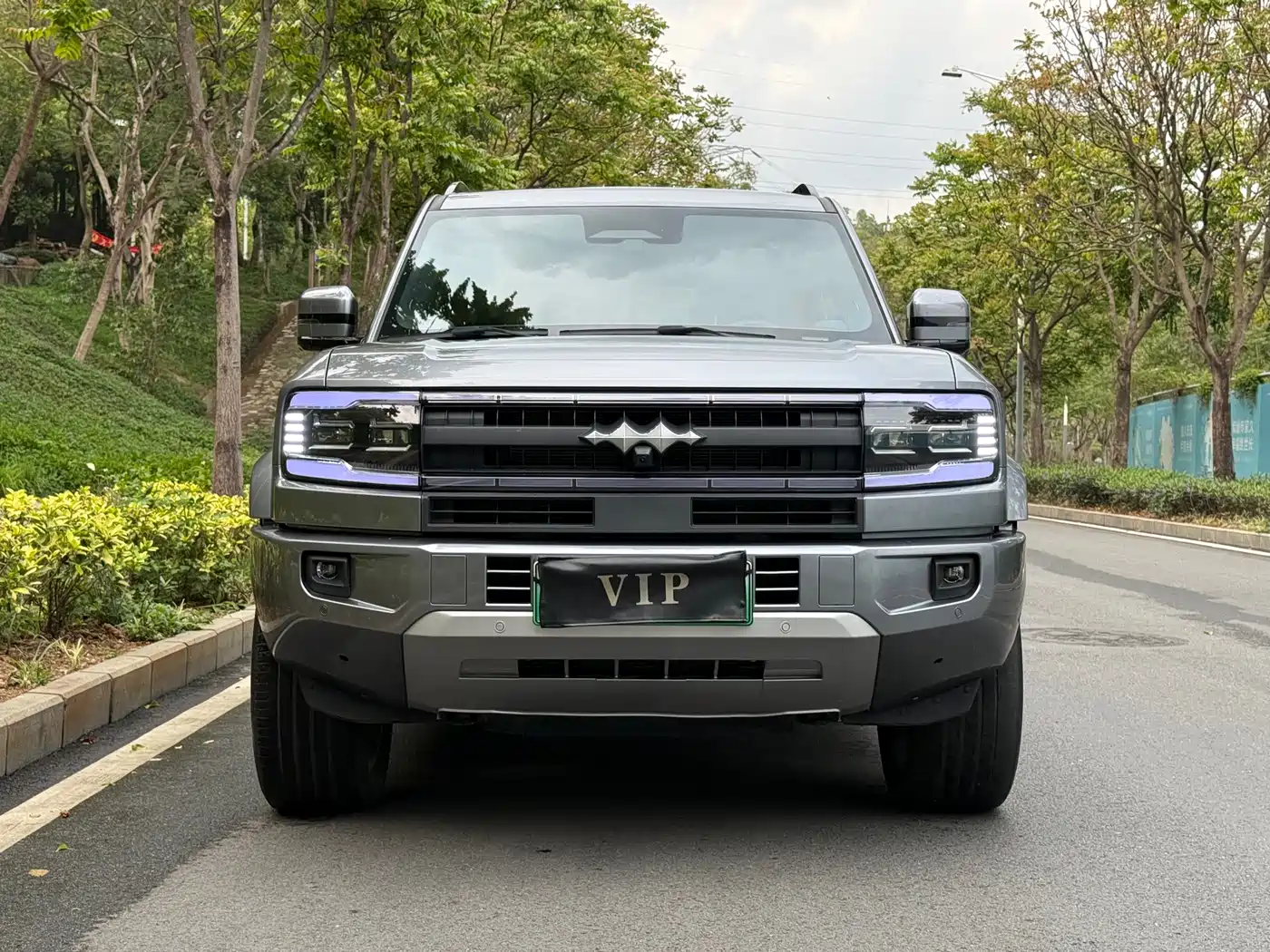 FANG CHENG BAO LEOPARD 5