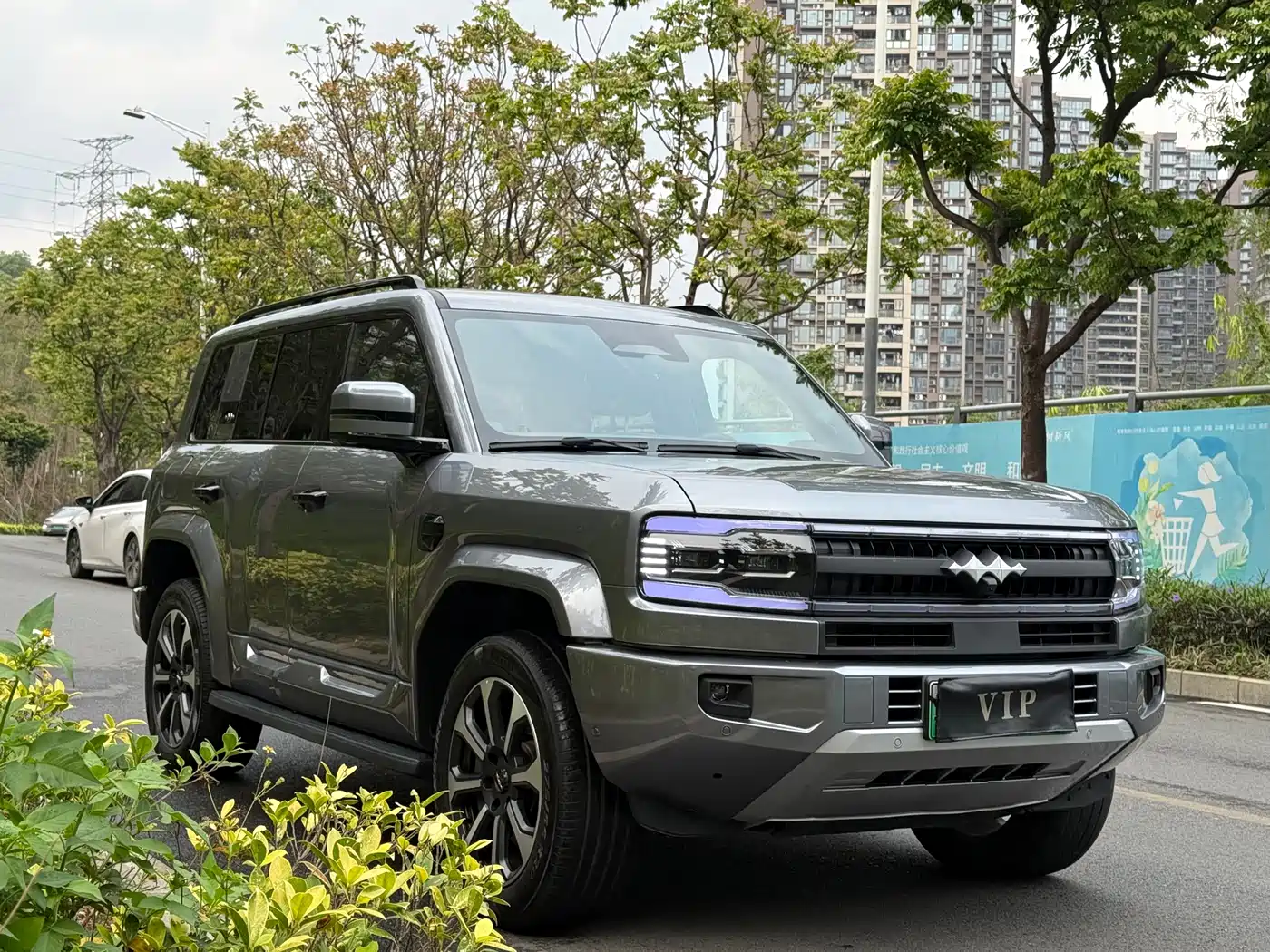 FANG CHENG BAO LEOPARD 5