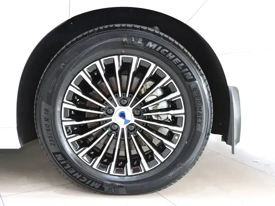 Denza D9 2022 DM-i 970 AWD Flagship фото 22