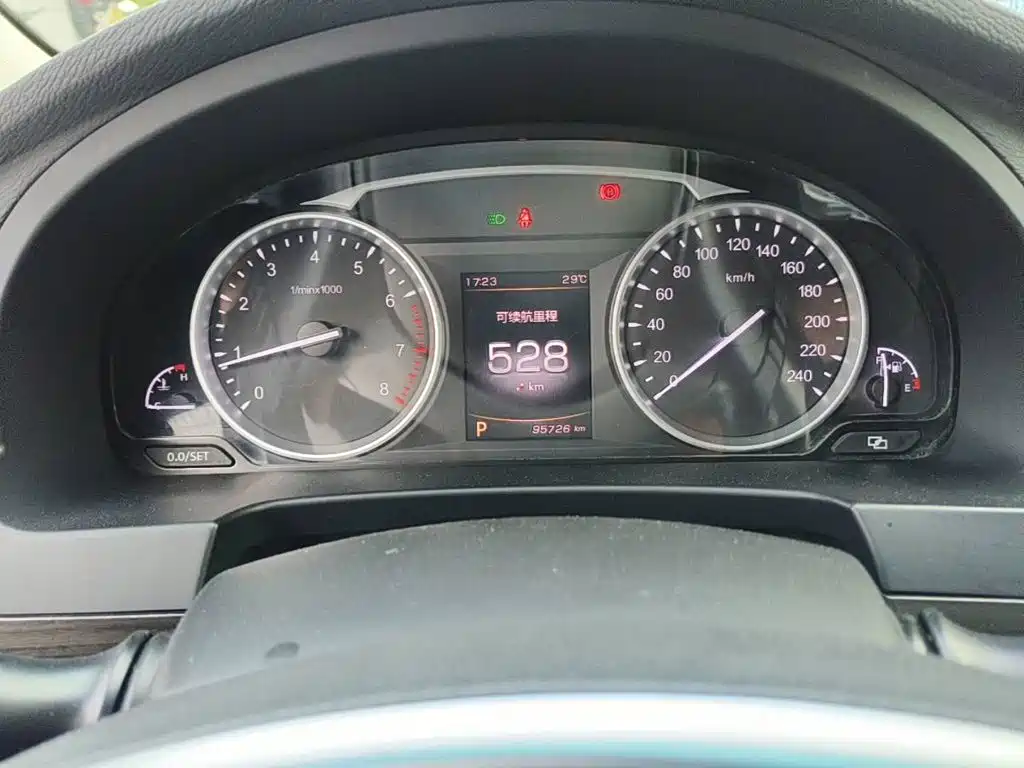 Фото 4 - Geely Borui