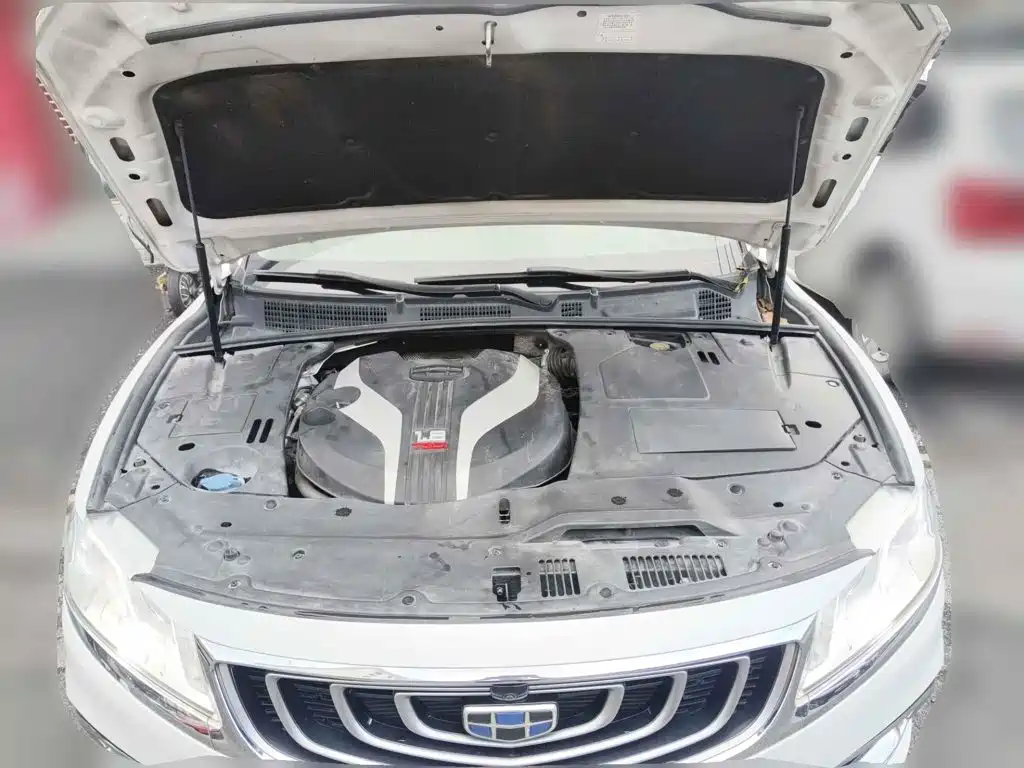 Фото 3 - Geely Borui