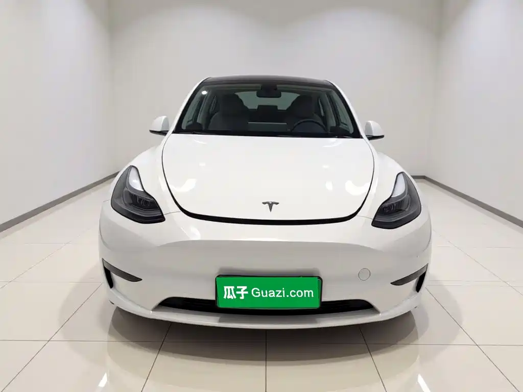 Tesla Model Y 2021 2021 Standard Range Rear-Wheel Drive
