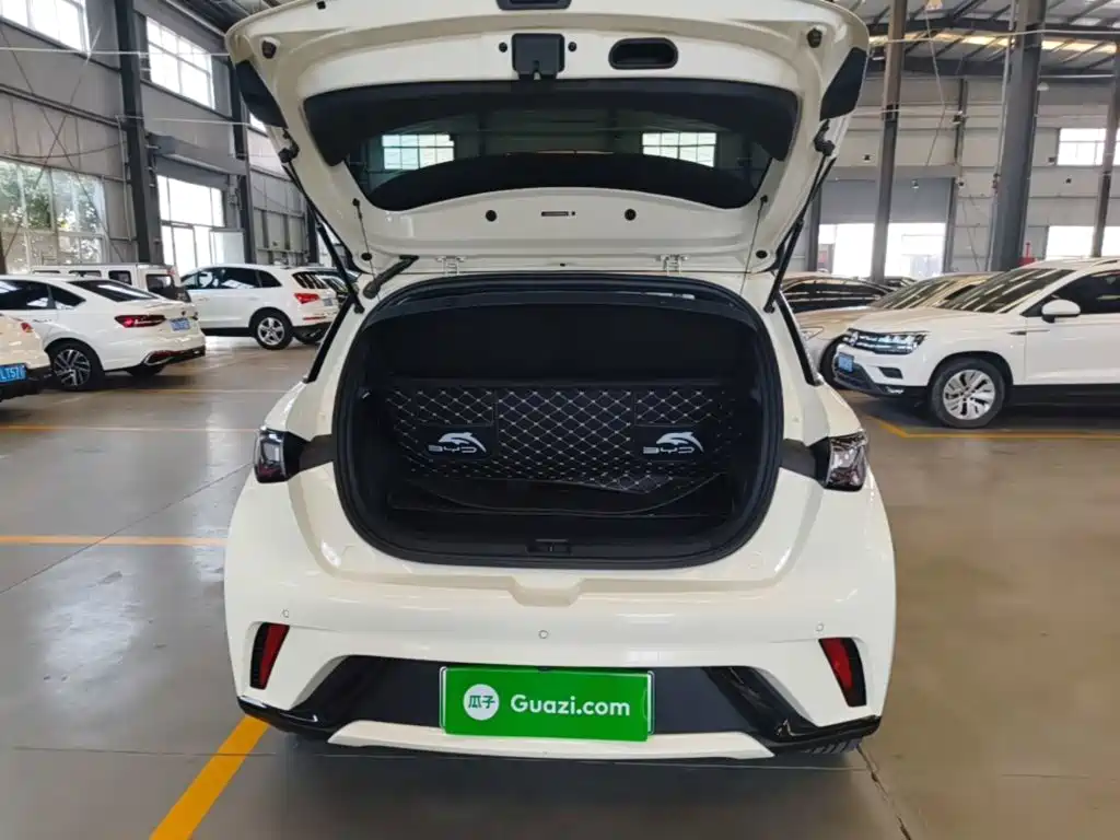 BYD Dolphin 2022 2021 Model 405km Fashion Edition