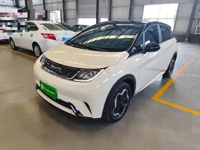 BYD Dolphin