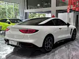 صورة 29 - Nezha Auto Nezha GT