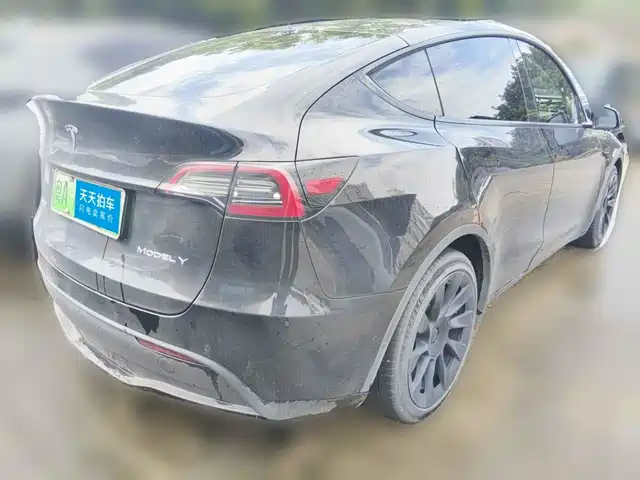 Tesla Model Y 2021 Standard Range Rear-Wheel Drive — фото 2