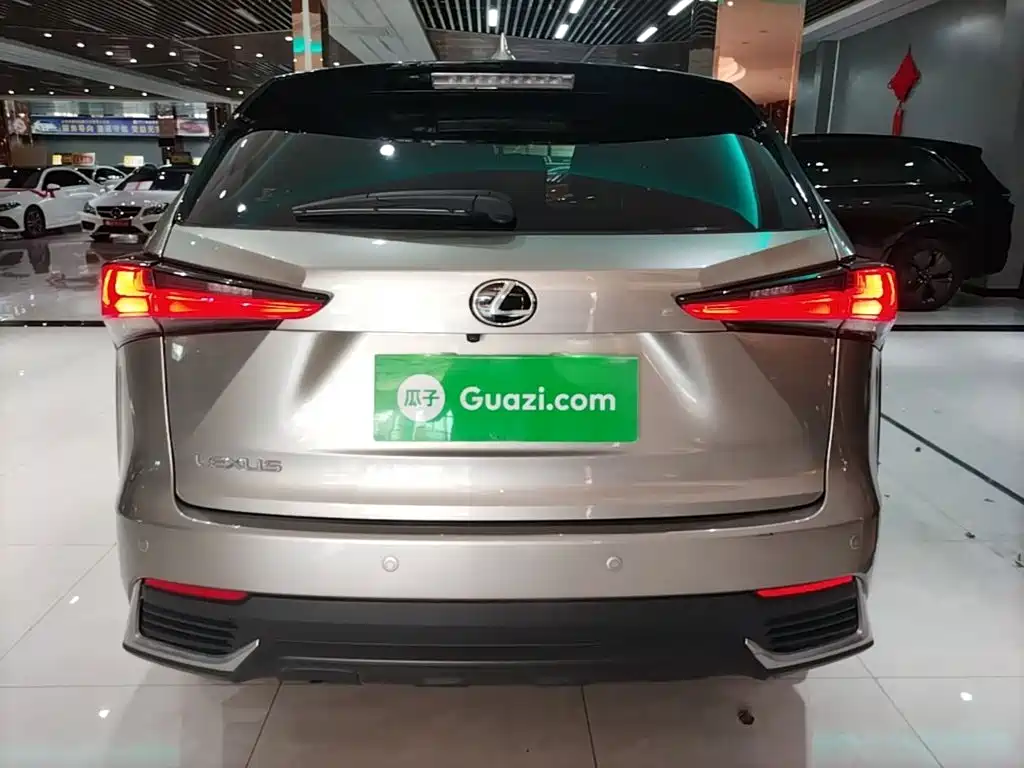 Фото 6 - Lexus NX