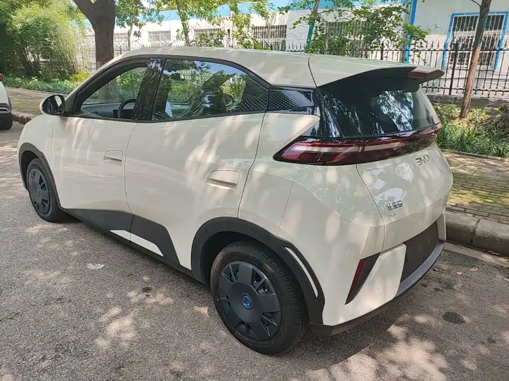 BYD Seagull 2026 2025 305km Vitality